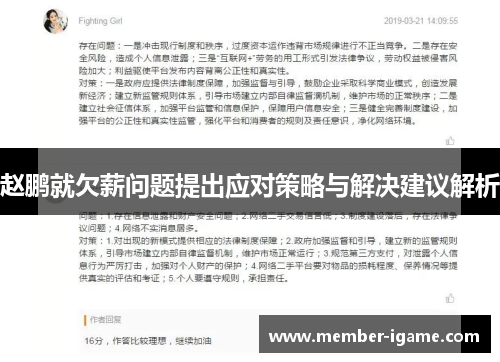 赵鹏就欠薪问题提出应对策略与解决建议解析